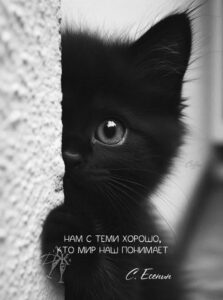 Олена