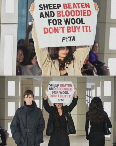 Активісти PETA